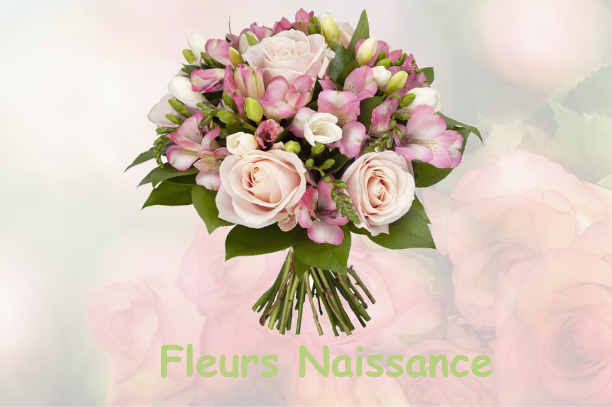 fleurs naissance SAINTE-MARIE-DES-CHAMPS